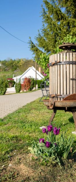 Vándortyúk Vendégház Magyarszék