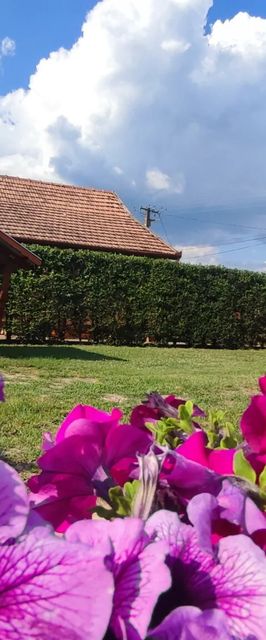 Meggyfa Vendégház Körösszakál