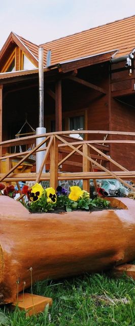 Cabana Magasbükk Pataka Izvoare