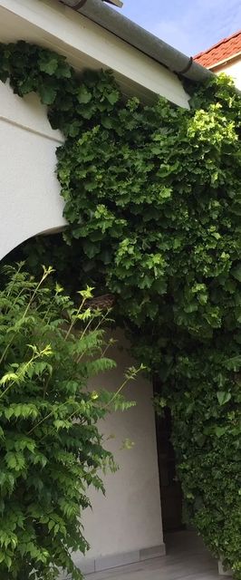 Villa Elysium Gyenesdiás