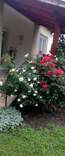 Nikes Üdülőház Balatonkeresztúr