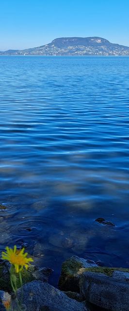 Tengerészlak Apartman Fonyód 