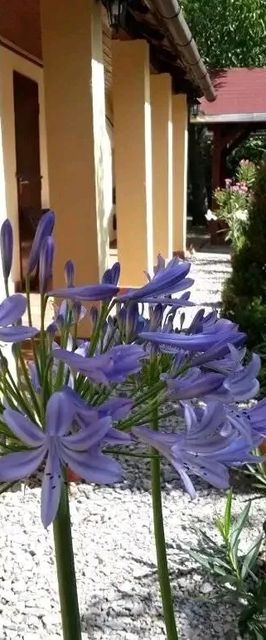 Aranyhal Vendégház Poroszló