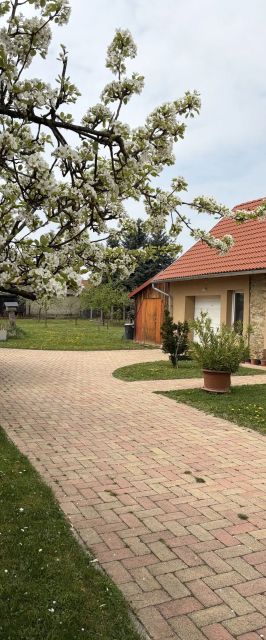 Pajta Szálló Magyarpolány