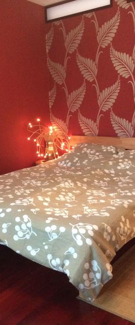 Exotikus 2 szobás lakás erkéllyel Komárom