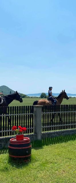 Aszófői Apartmanház Aszófő