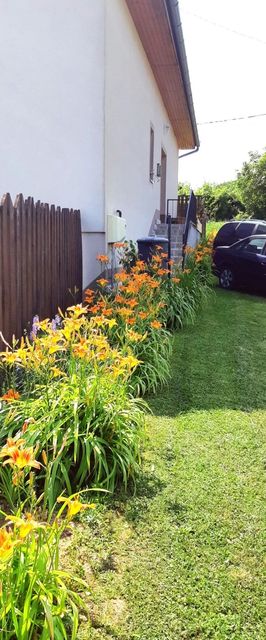 Liliom Apartman Rezi