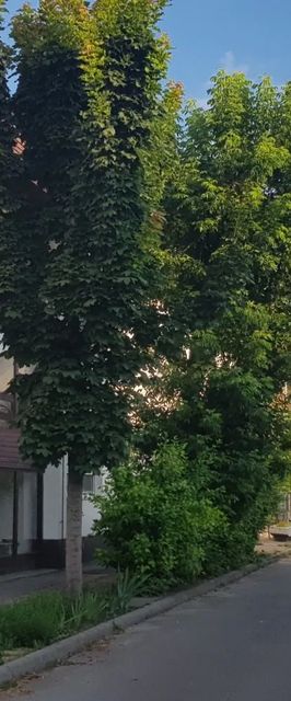 Lotti Apartman Kiskunhalas