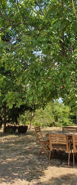 Diófa Vendégház Balatonfüred