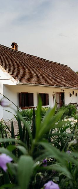 Káni Ökoporta Hetvehely-Kán