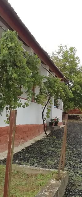 Nagyhaláp Vendégház Cserháthaláp