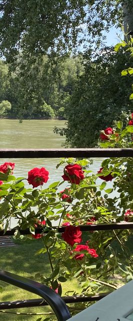 Aqua Bella Apartman Szeged