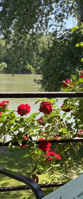 Aqua Bella Apartman Szeged