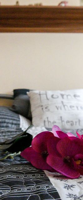 Rózsa Völgy Apartman Eger