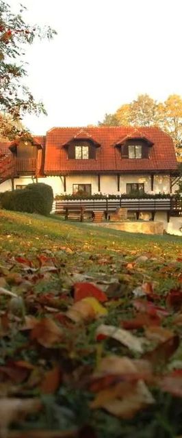 Penzion Dvůr Netolice