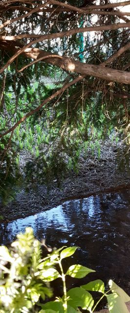 Flóra Apartman a Balatonnál Lovas