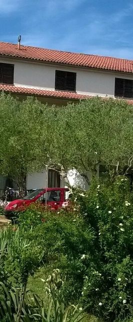 Apartmanok A Tenger Mellett Tkon, Pasman - 16275 Tkon