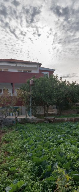 Apartmanok Parkolóhellyel Slatine, Ciovo - 16731 Slatine