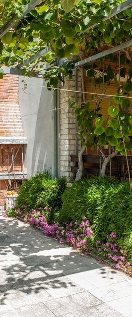 Apartmanok A Tenger Mellett Duce, Omis - 16877 Duće