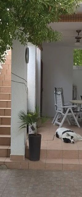 Apartmanok A Tenger Mellett Vir - 17491