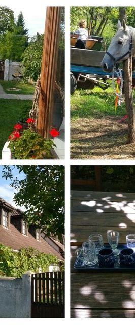 Derű Vendégház és Lovasudvar Fenyőfő