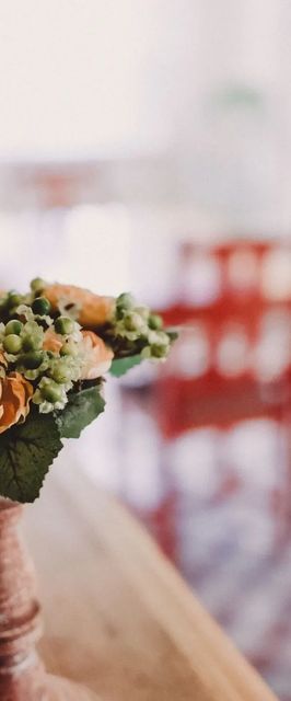 Hóvirág Vendégház Albertirsa