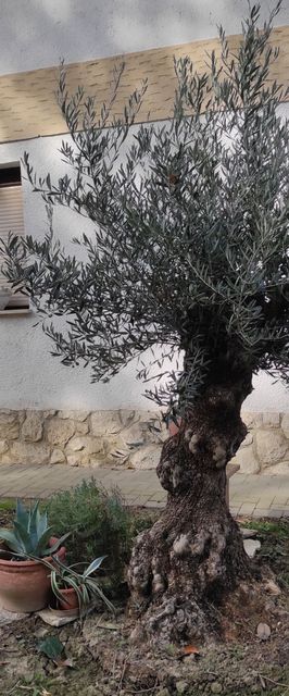 Lavendel Apartman Harkány