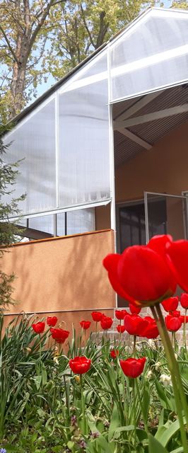 Peresi Vízparti Apartman Mezőtúr