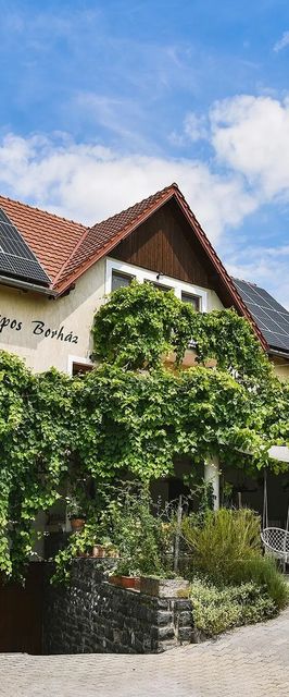 Sipos Borház & Vendégház Badacsonytomaj