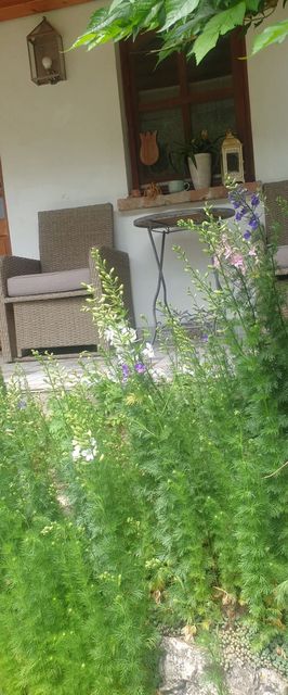 Tulipános Vendégház Óbánya