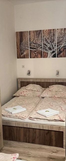 Elizabeth Apartman Makó