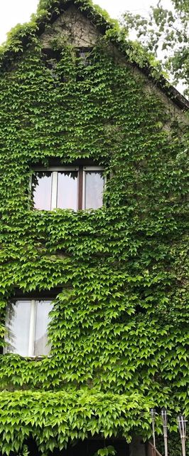 Veranda Apartman Nyíregyháza