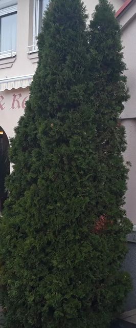 Bavária Hotel és Étterem Abda