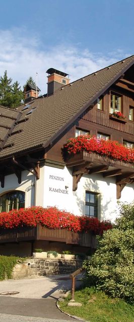 Penzion Kamínek Janské Lázně
