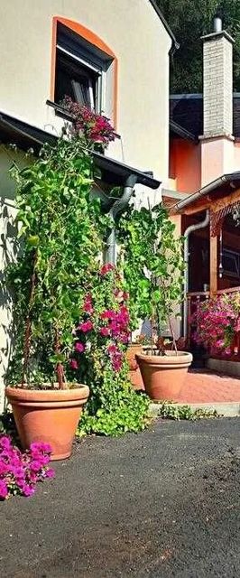 Penzion Radošov ubytování v soukromí Kyselka