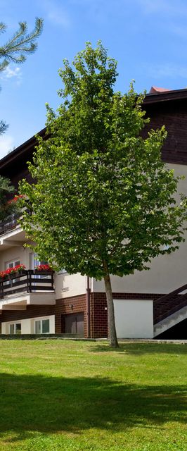 Penzion Hubert Františkovy Lázně