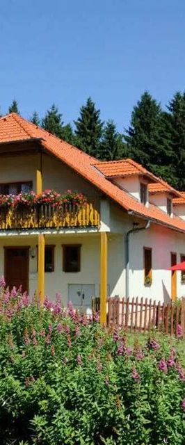 Penzion Patrik Mikulčin Vrch Vápenice