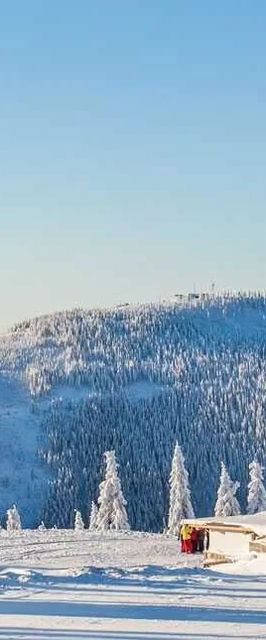 Novopacká Bouda Špindlerův Mlýn