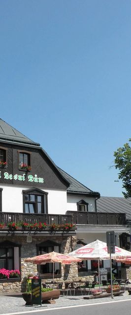 Hotel Lesní dům Janské Lázně