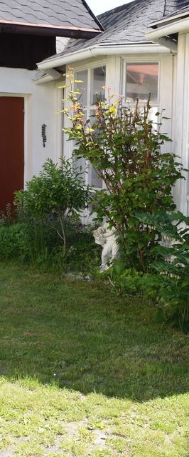 Pension Elbrs Mariánské Lázně