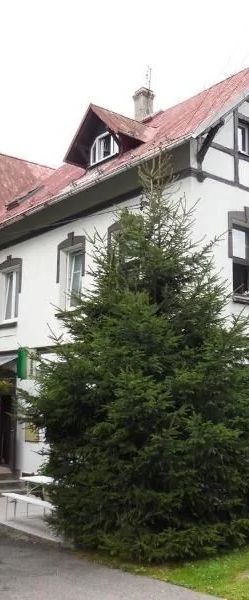 Penzion Braun Rybniště