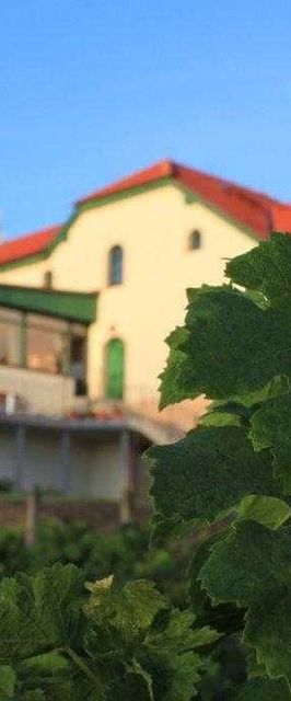 Hotel Vinohrad Milotice