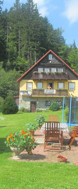 Pension Vladimír Janské Lázně