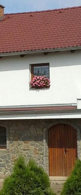 Ubytování s vinným sklepem Pelikán Moravská Nová Ves