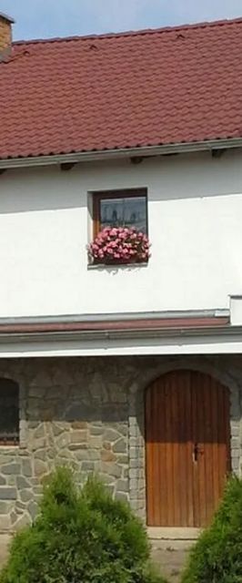 Ubytování s vinným sklepem Pelikán Moravská Nová Ves