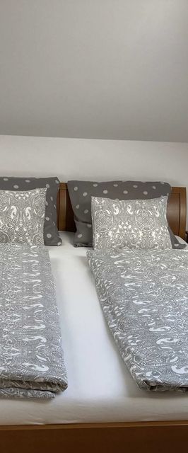 Apartment Husova Poděbrady