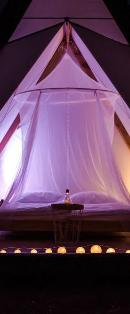 Lupa Camping Budakalász