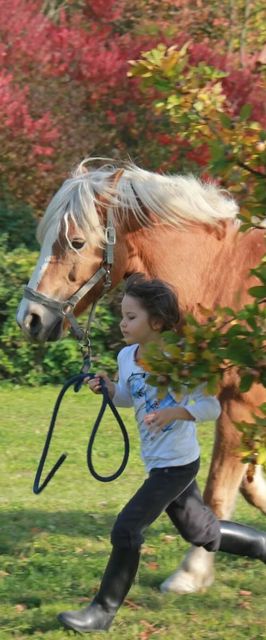 Mecseki Csendidő Vendégházak Bükkösd