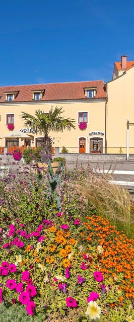 SPA HOTEL CENTRUM Františkovy Lázně