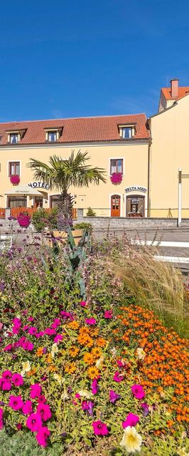 SPA HOTEL CENTRUM Františkovy Lázně